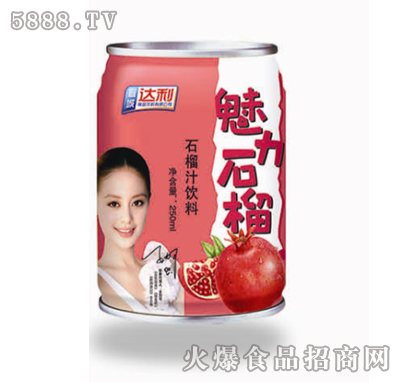 韓一魅力石榴汁250ml