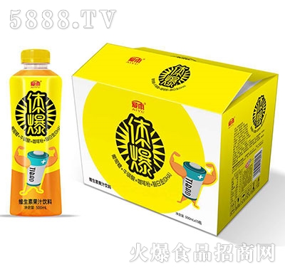 �w���S���ع�֭���500mlx15