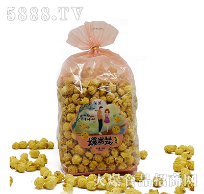 ĳ�ɱ��׻�����ζ500g