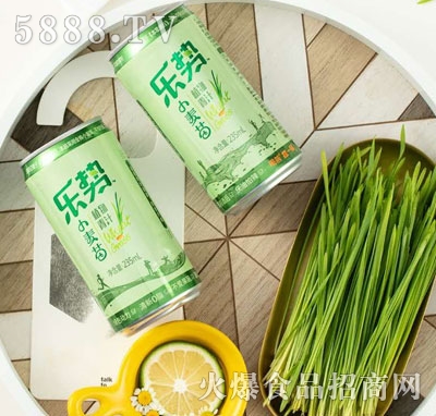 ����(sh��)ֲ����֭235ml�������b��