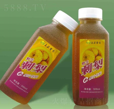 ��������Ұ������֭���300ml��2ƿ��