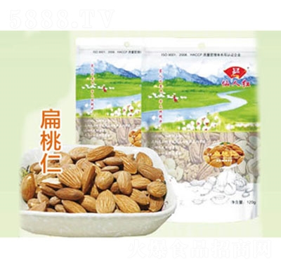 ���˼t������