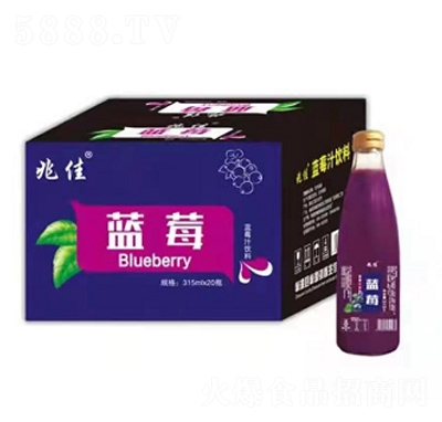 �׼��{(l��n)ݮ֭���315mlX20ƿ