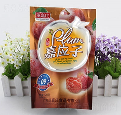 ï���f�Α�(y��ng)��120g