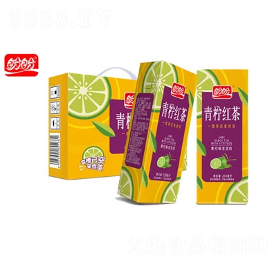 ���������t���ļ������