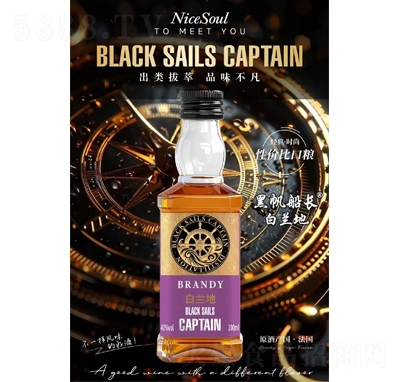 �ڷ����L���m��100ml