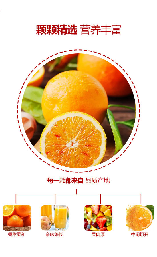 四會飛凰飲料有限公司-果汁3_03 四會飛凰飲料有限公司-果汁3_03