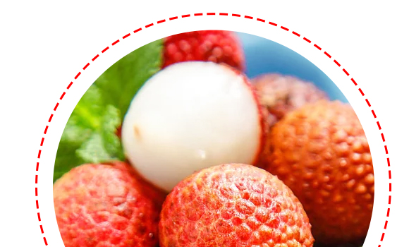 �����-��֦-�aƷ����_05