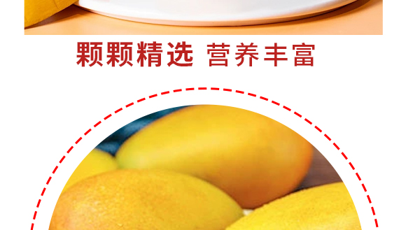 河南增健綠色飲品有限公司-芒果產(chǎn)品畫冊1230_07 河南增健綠色飲品有限公司-芒果產(chǎn)品畫冊1230_07