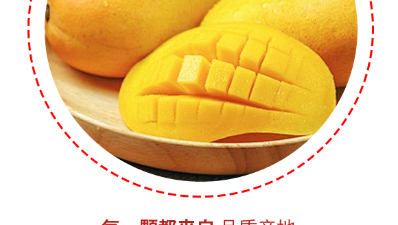 河南增健綠色飲品有限公司-芒果產(chǎn)品畫冊1230_08 河南增健綠色飲品有限公司-芒果產(chǎn)品畫冊1230_08